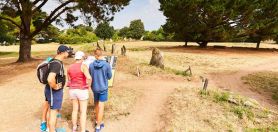 Megaliths - Ile Aux Moines u00a9 Alexandre Lamoureux - OT golfe du morbihan vannes tourisme