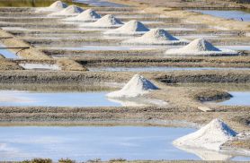 salt marshes u00a9 loic kersuzan - CRTB morbihan tourisme