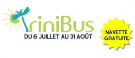 trinibus free transport