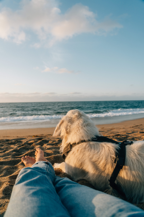 Outdoornomaden / Bretagne Tourisme