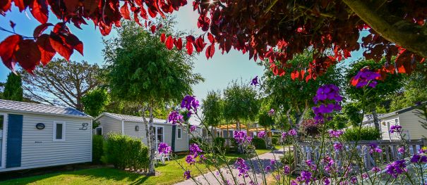 Ankunft & Abreise – So funktioniert’s