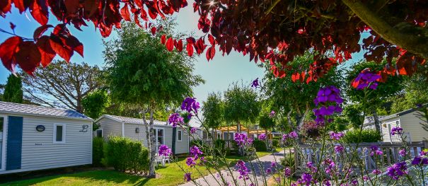 Miettarife - Sonderangebote - Ferien Bretagne